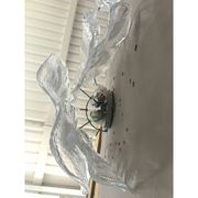 Lot of 2 Transparent and White “Fiamma” Murano Glass Wall Sconces
