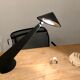 Toucan office lamp design Patrice Bonneau edition Genexco vintage 80s