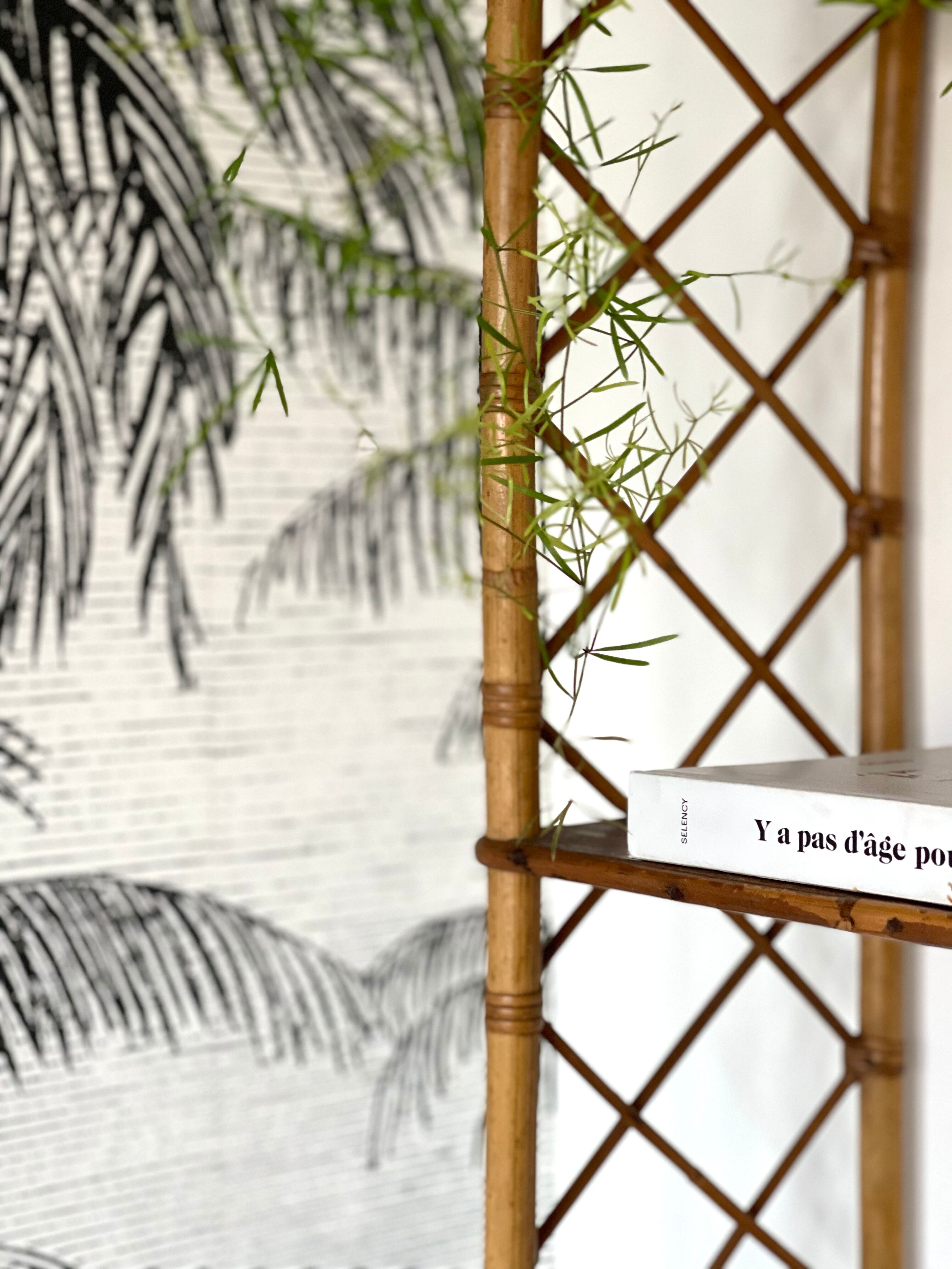 Rattan wall shelf 1960