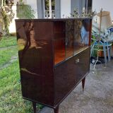 Showcase storage Mahogany lacquered vintage