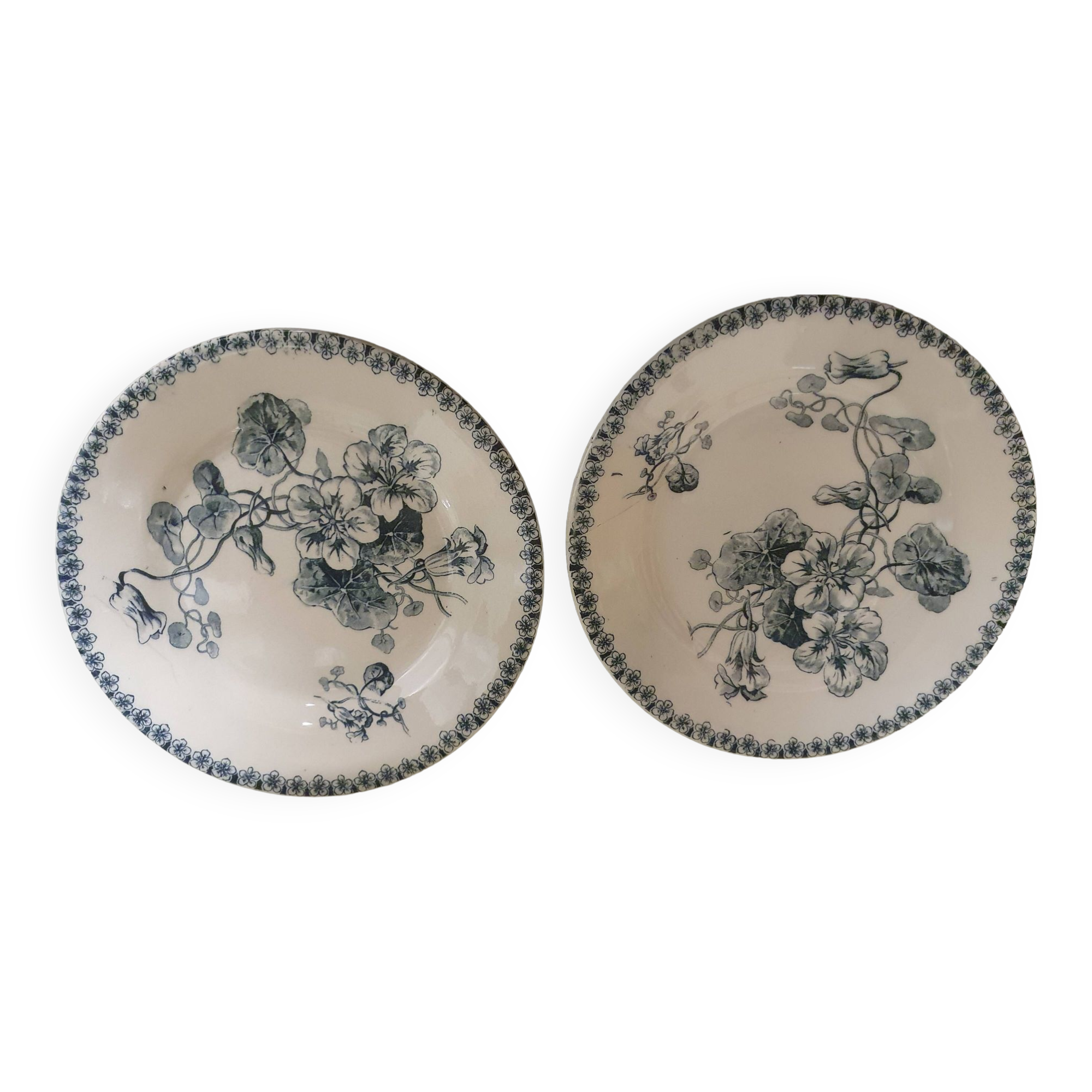 Assiettes terre de fer