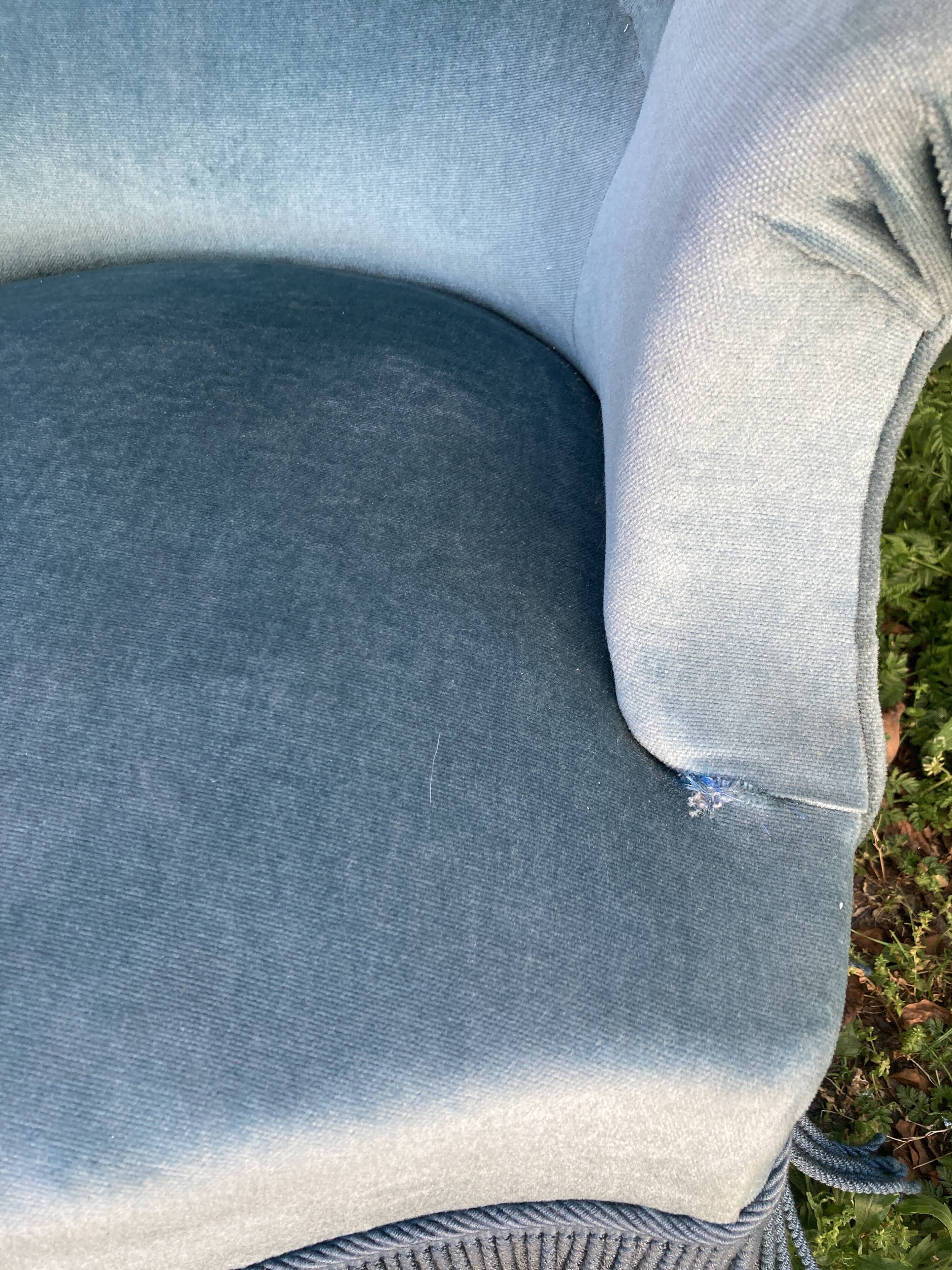 Toad Chair - electric blue - with its cushion