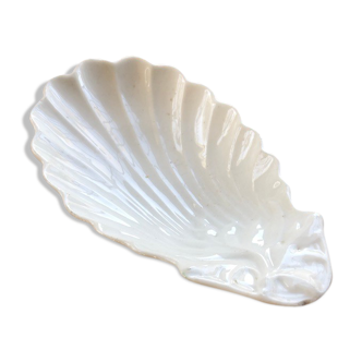 White seashell ravier