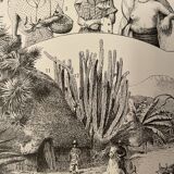 Lithograph engraving on Mexico from 1897
