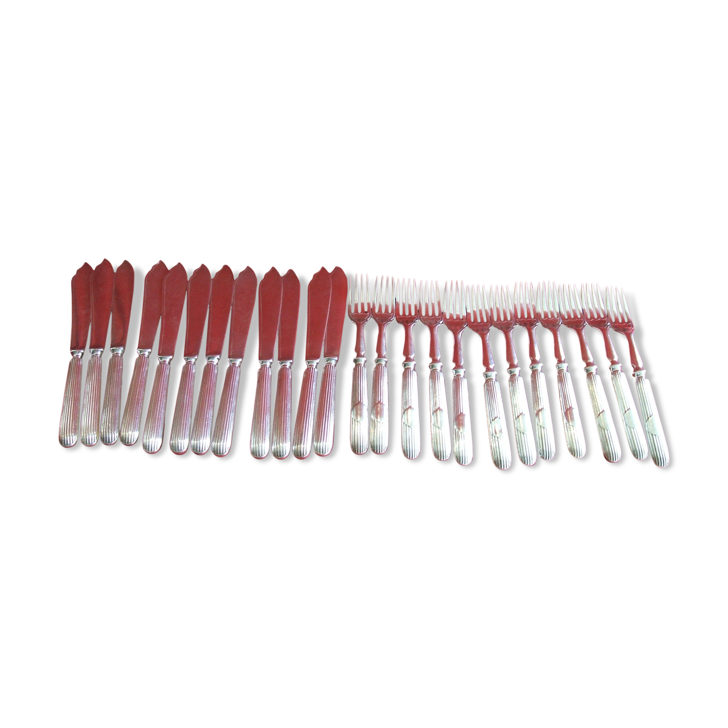 Covered with silver metal fish