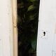 Paire de portes de placard h233x86cm chacune ancienne