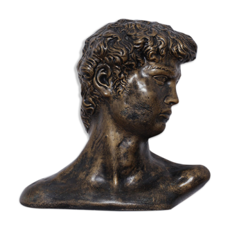 Black and gold David Bust