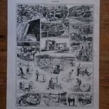 Original lithograph on rocks