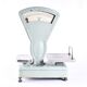 Old kitchen scale