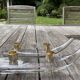 Paire de bougeoirs cristal Schneider en forme de pirogue