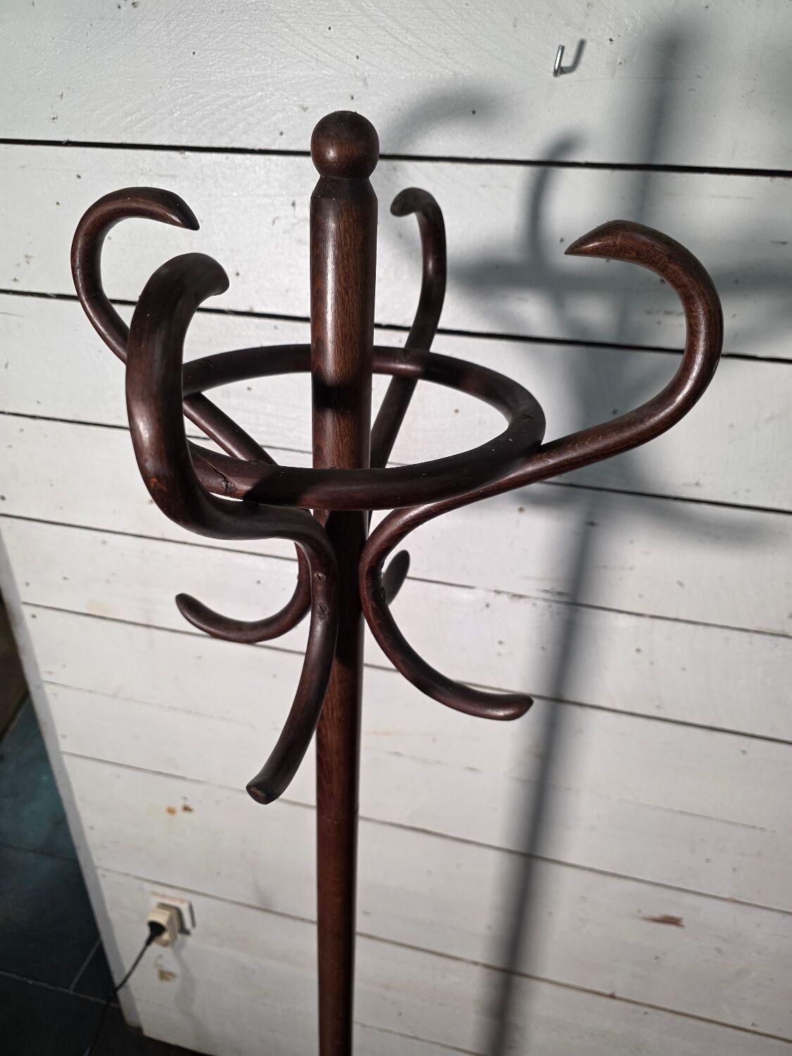 Perroquet ancien en bois courbé