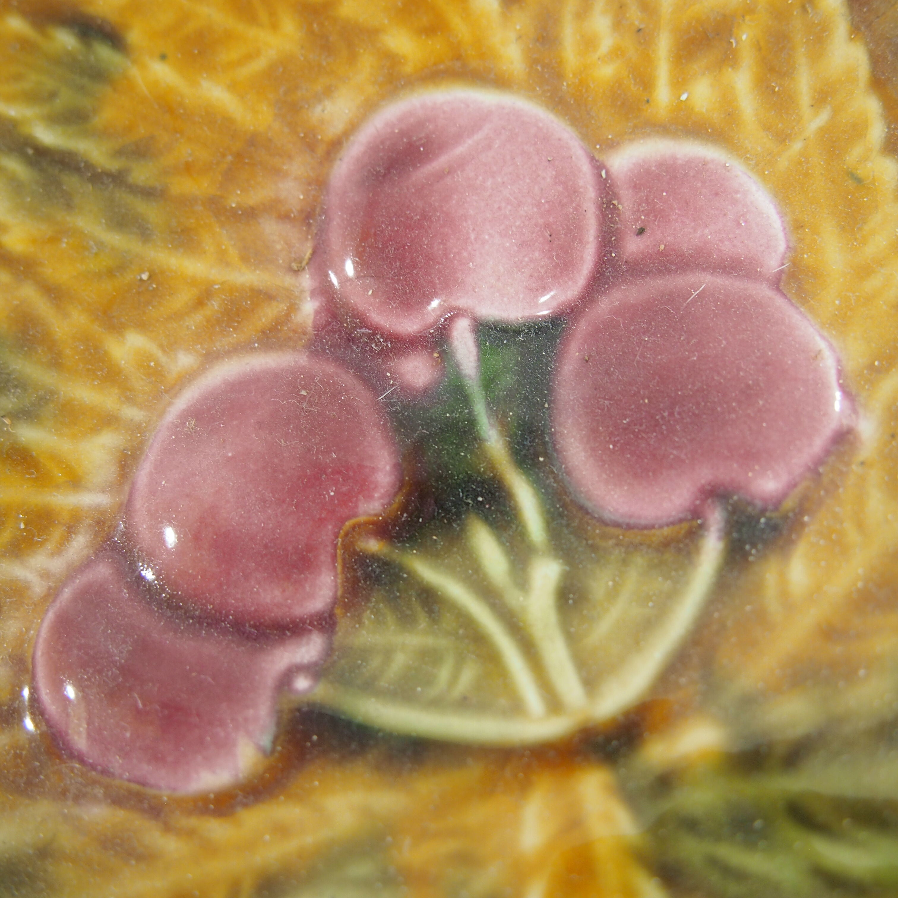 Fruit cup Sarreguemines DV