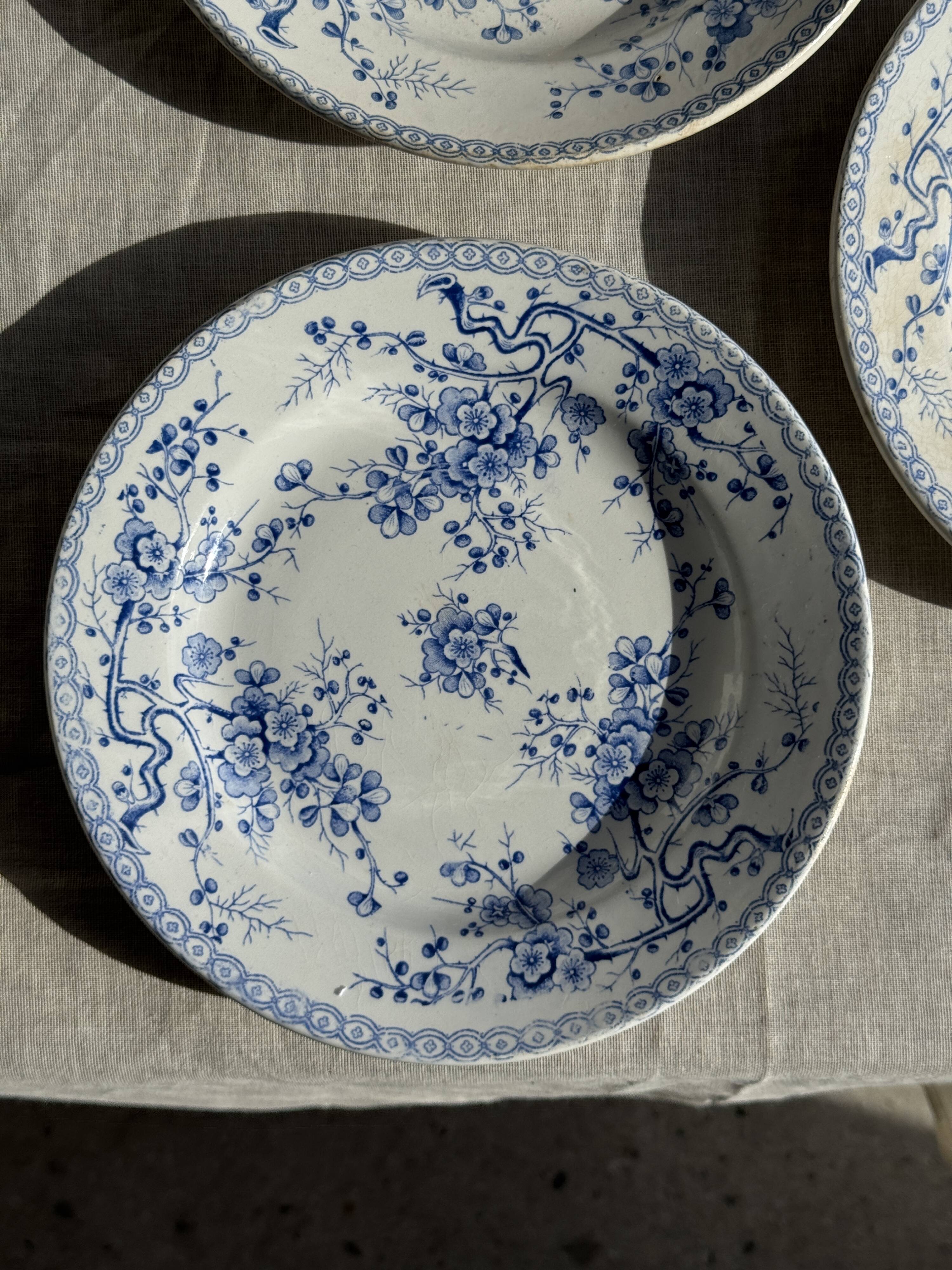 Set of 3 blue plates from Gien pottery, Fleurette model, D22.5.