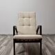 Single restored armchair by Jan Vanek