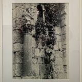 Large black and white silver photograph from the 20th century