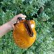 Carafe Mireille