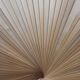 Screen claustra fan