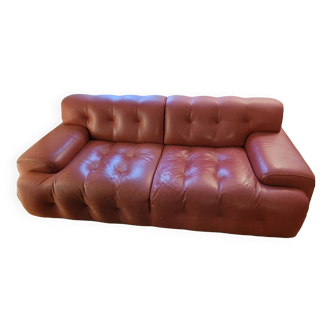 Roche Bobois leather sofa Blogger model