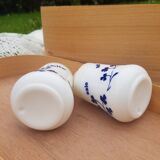 Salt shaker and pepper clover