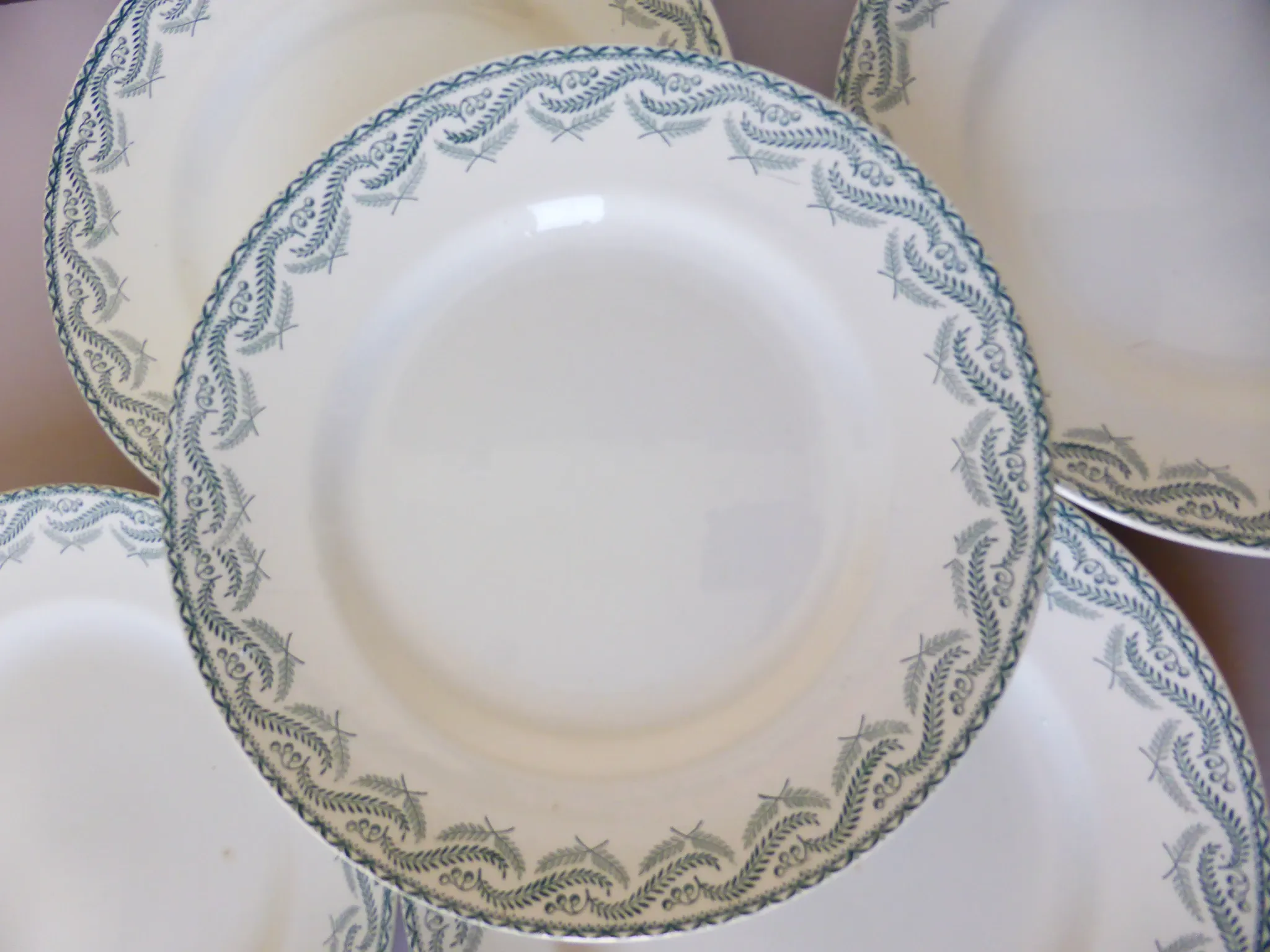 5 flat plates in ironstone from St Amand model Réjane 210726
