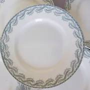 5 flat plates in ironstone from St Amand model Réjane 210726