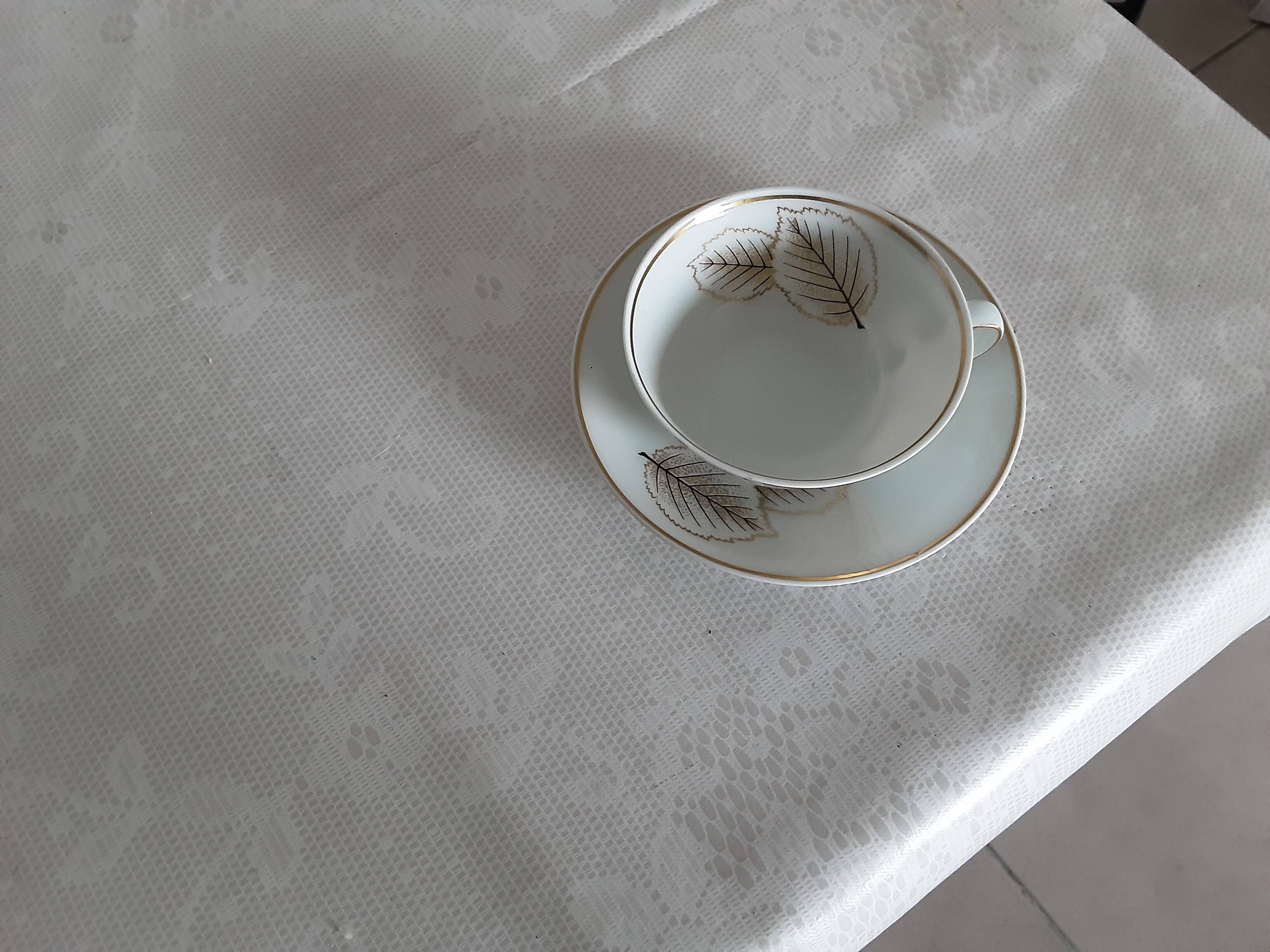 Cup and saucer in Limoges porcelain by Bernardaud Catherine.