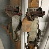 5 pairs of old wood skis 1900