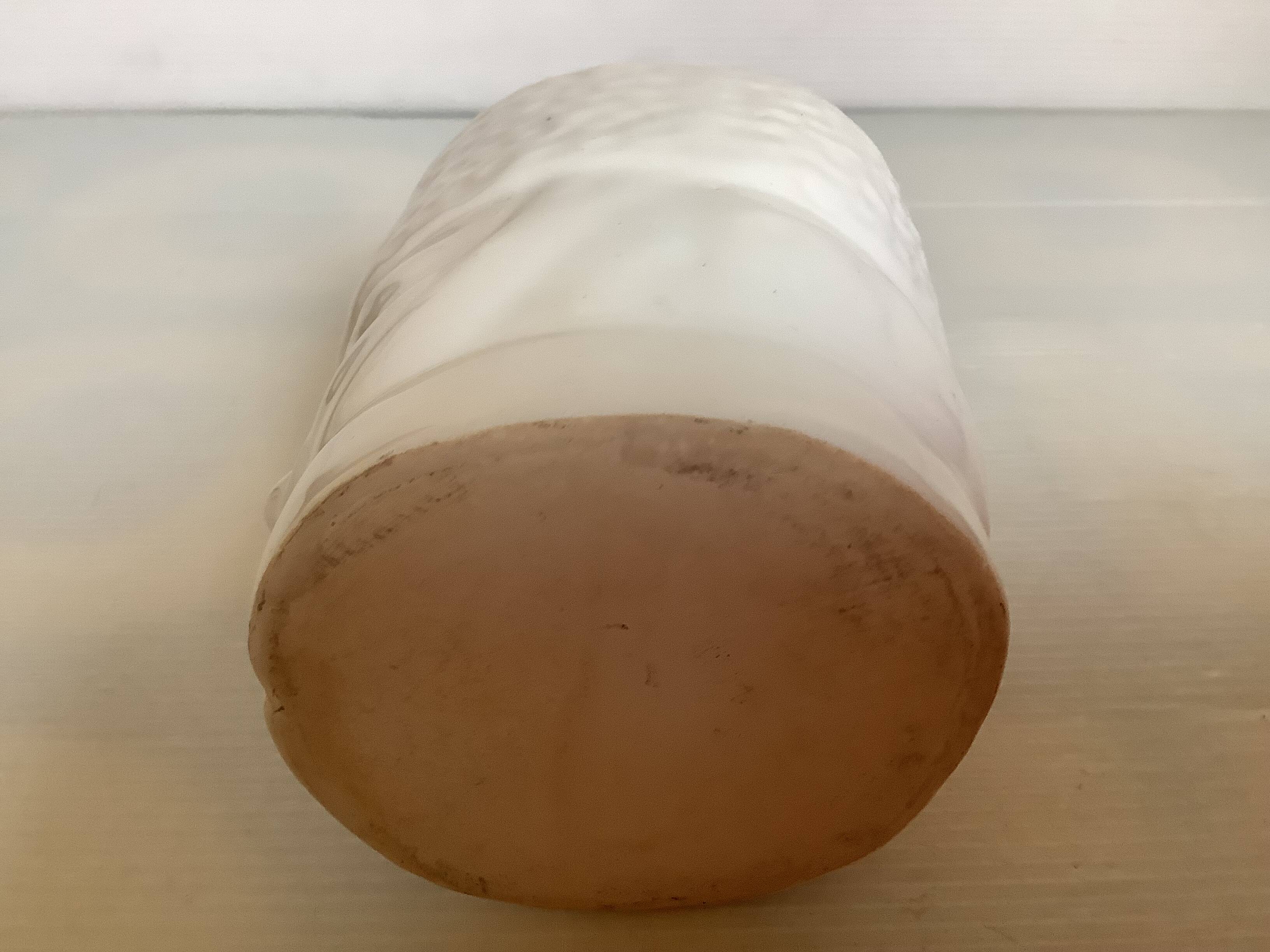 Small English Guard head planter