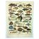 Antique engraving 1897 A. Millot - Fish 1, marine animals