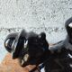 Vintage black ceramic lamp – Reclining clown – Made in Holland