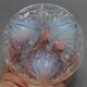 Dessous de carafe bouteille verre opalescent verlys sabino lalique #2