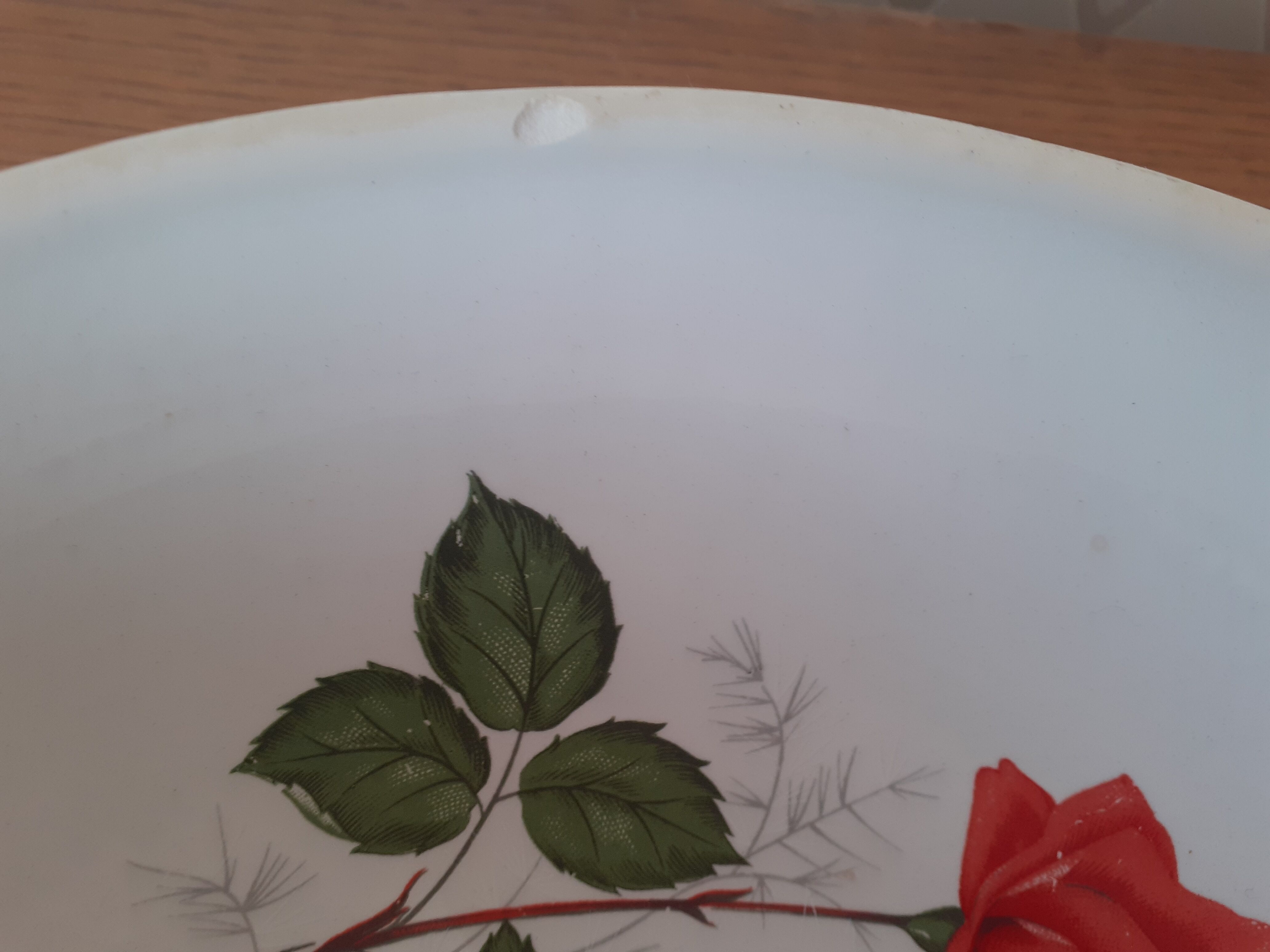 Vegetable soup Digoin Sarreguemines Sthendal