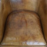 Set of 2 Sheepskin Leather Club Chairs by Nico van Oorschot
