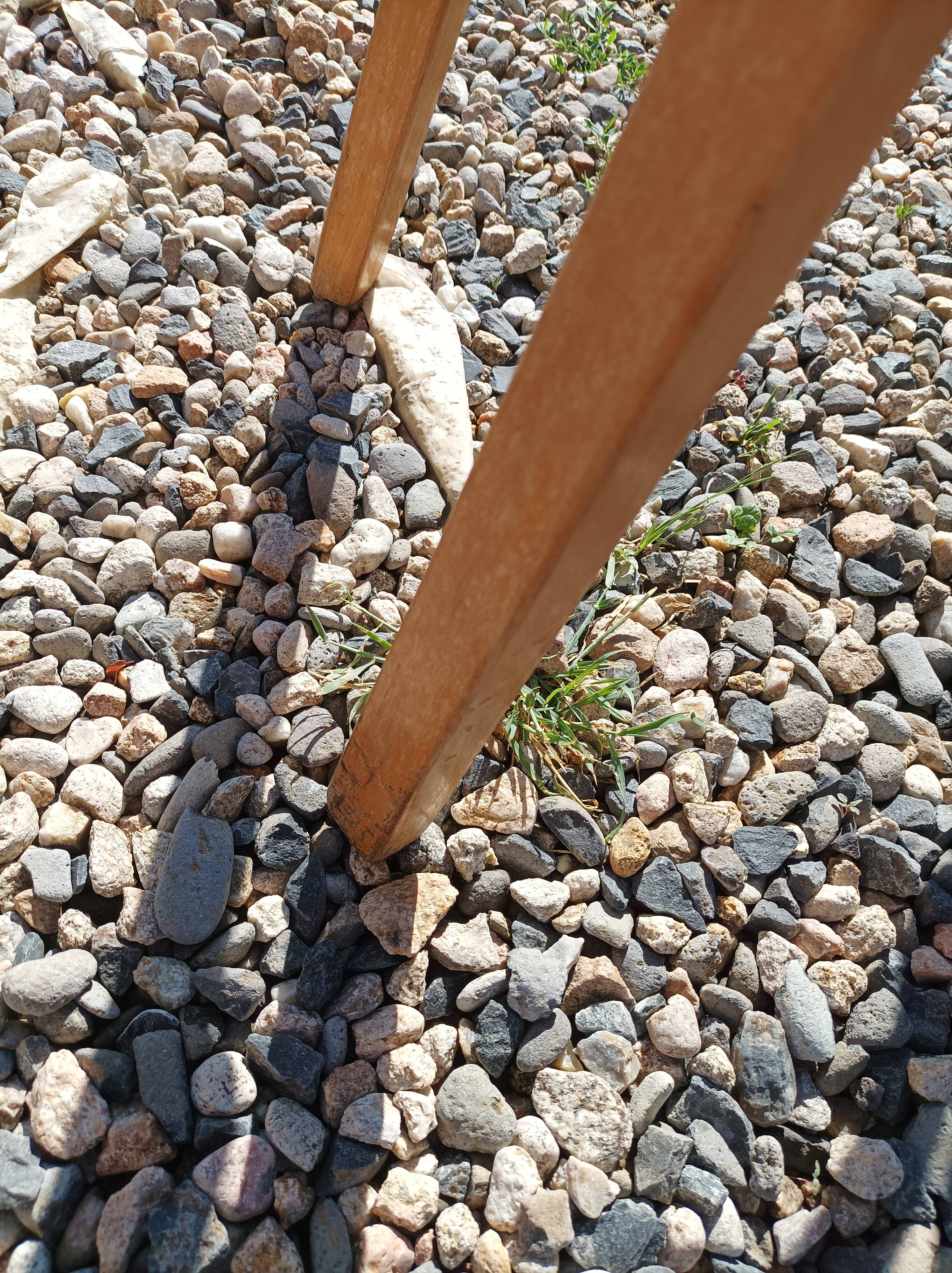 6 Vintage Baumann chairs