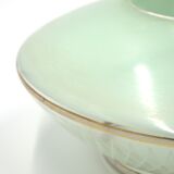 Green saucer suspension