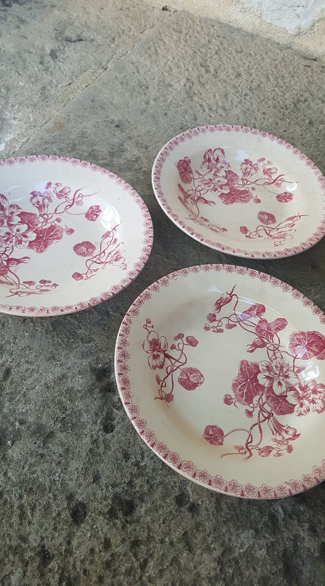 Set of 3 plates in Iron Earth Gien model Capucines