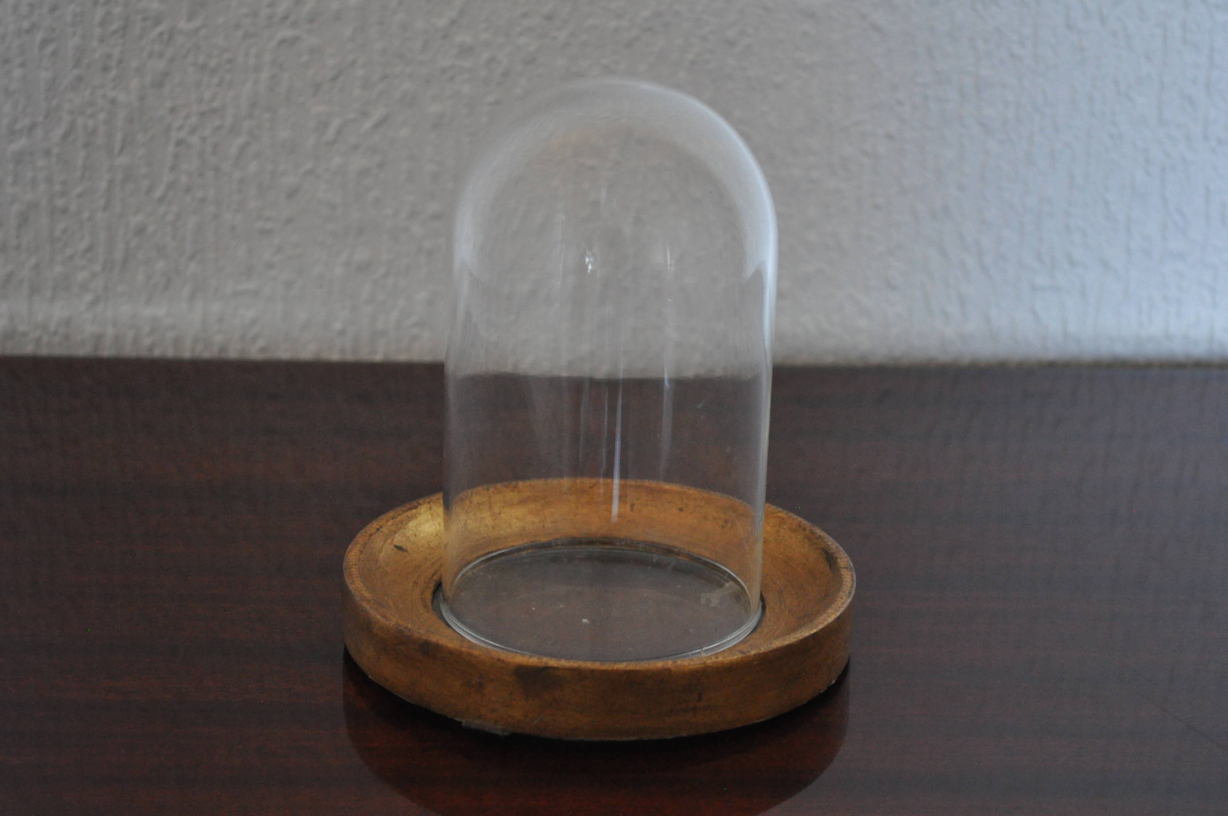 Cloche en verre avec support bois et verre