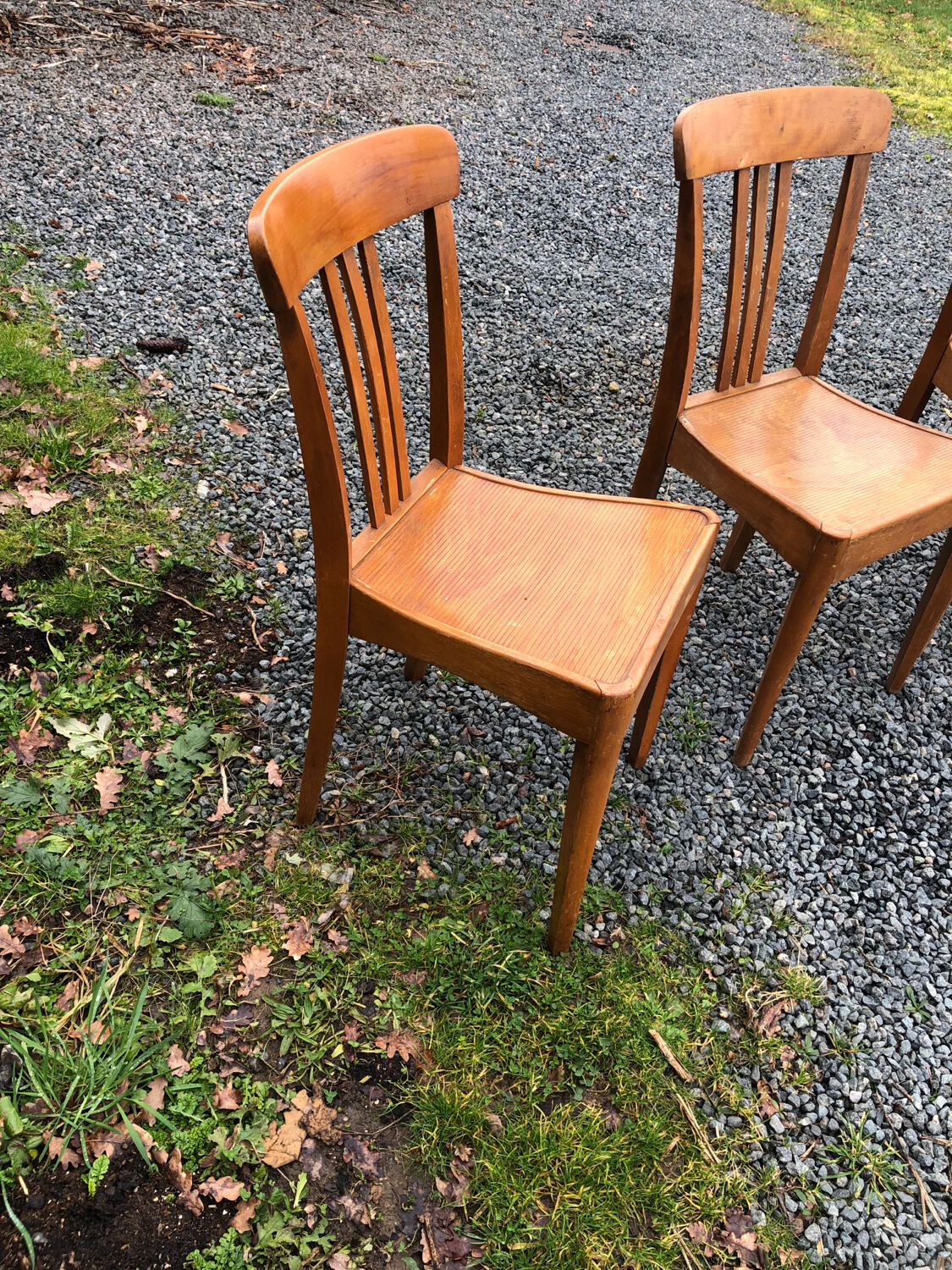 Stella chairs