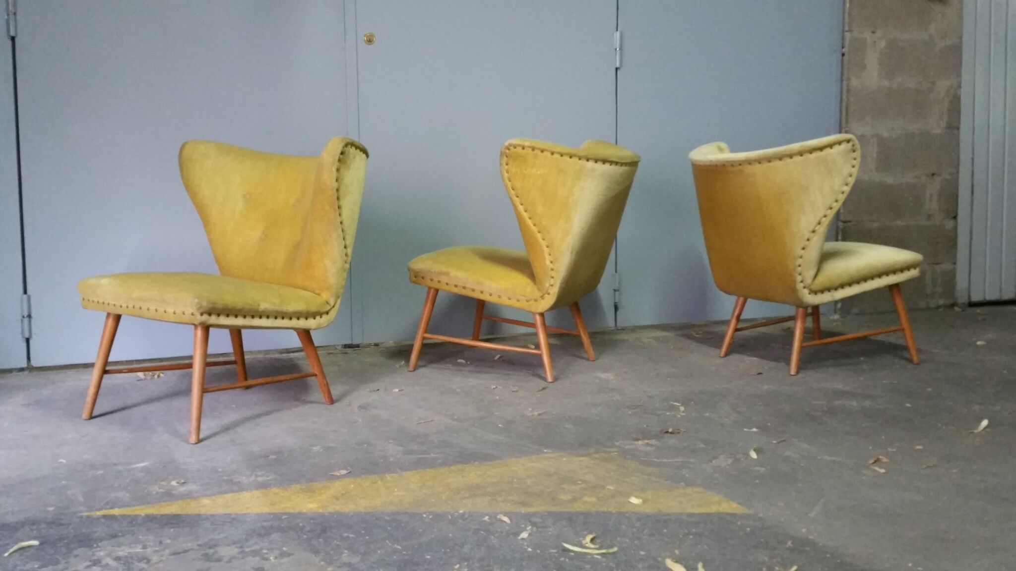 Yellow green trio of drivers at Danish flesh wing ears Elias Svedberg years 50/60