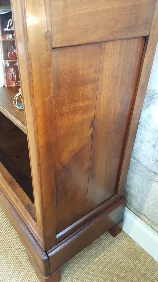 Old library style Louis Philippe of the nineteenth