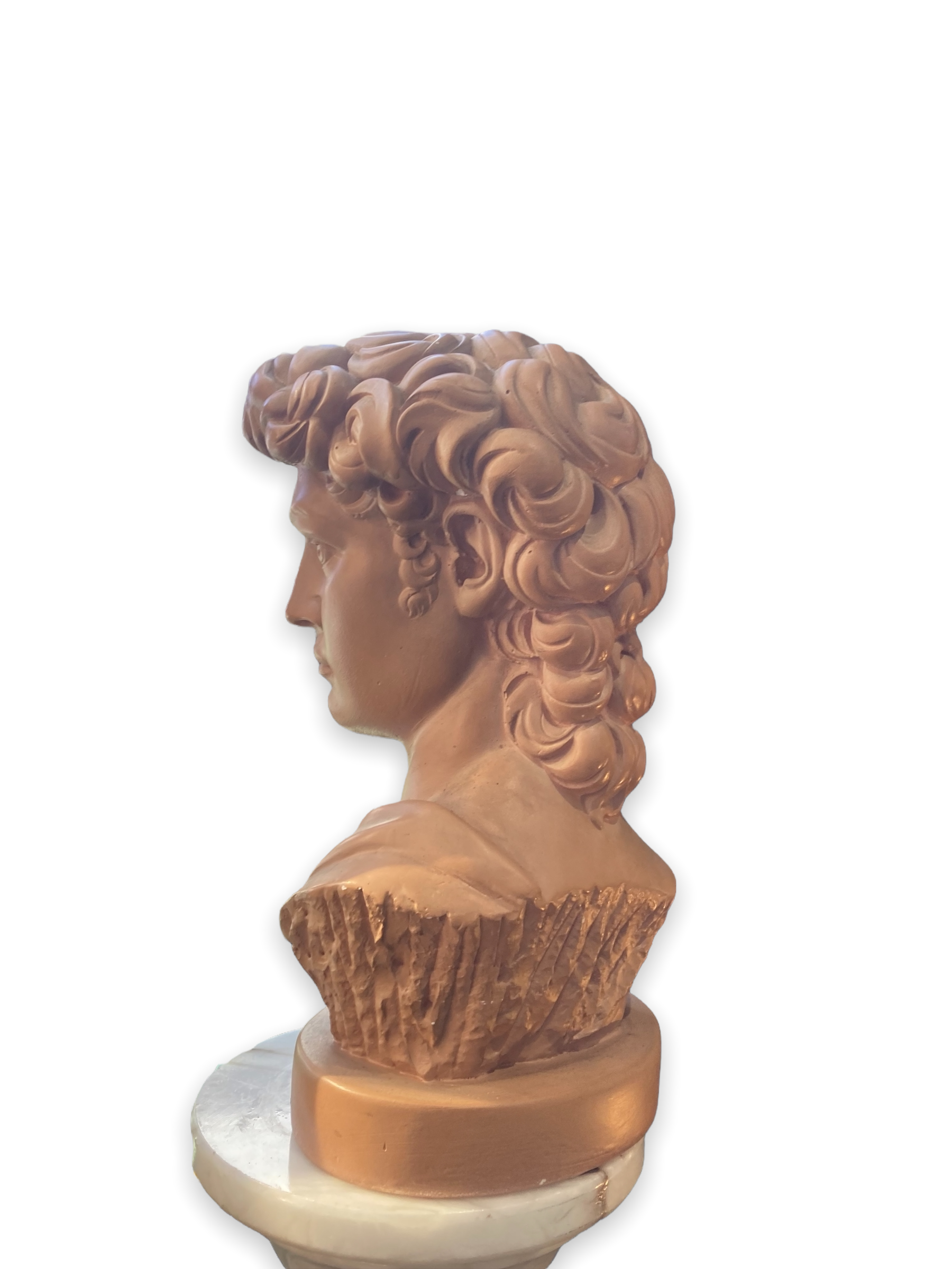 Bust David in plaster