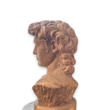 Bust David in plaster