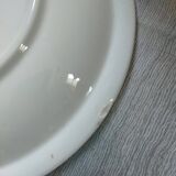 2 Primula dinner plates