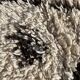Moroccan berber carpet beni ouarain wool 90x195 cm