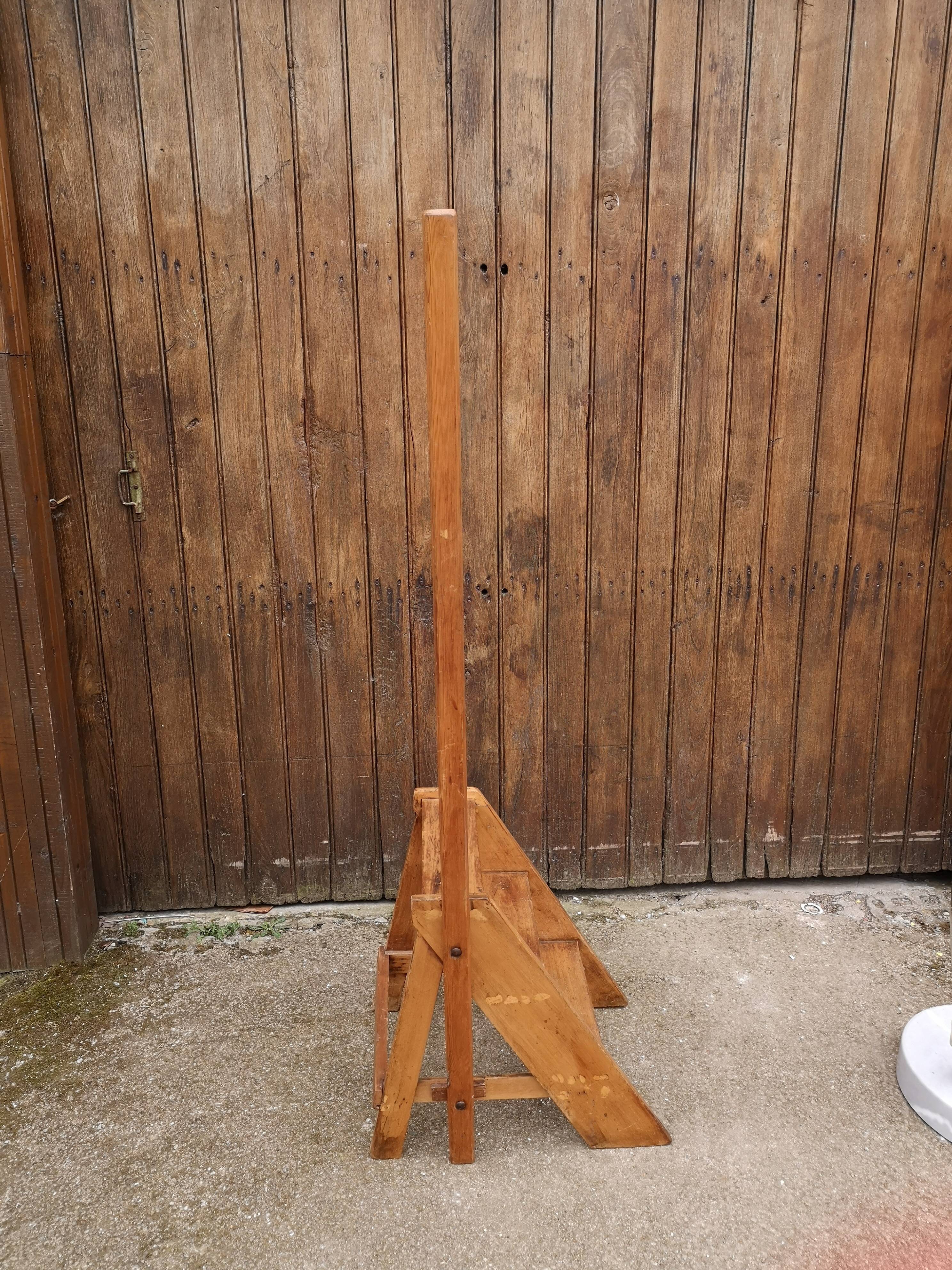 Library ladder said giraffe