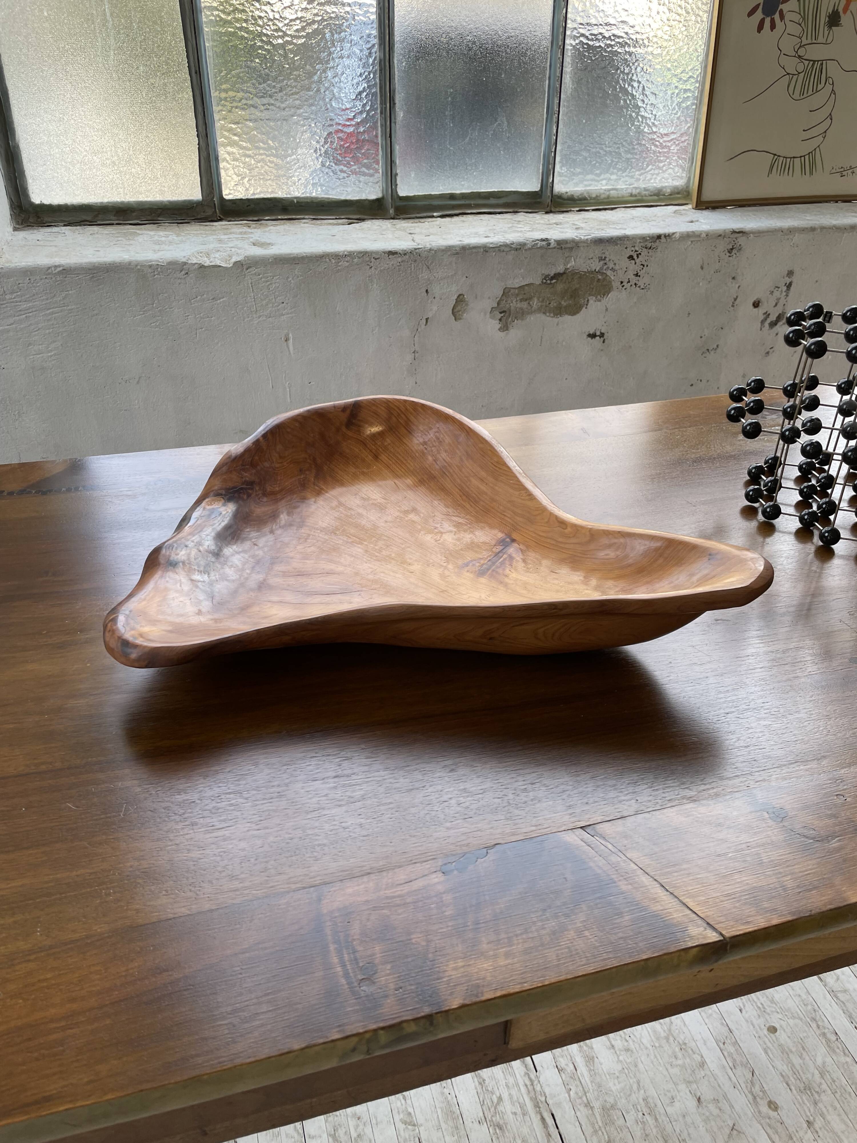 XL thuja root wooden dish