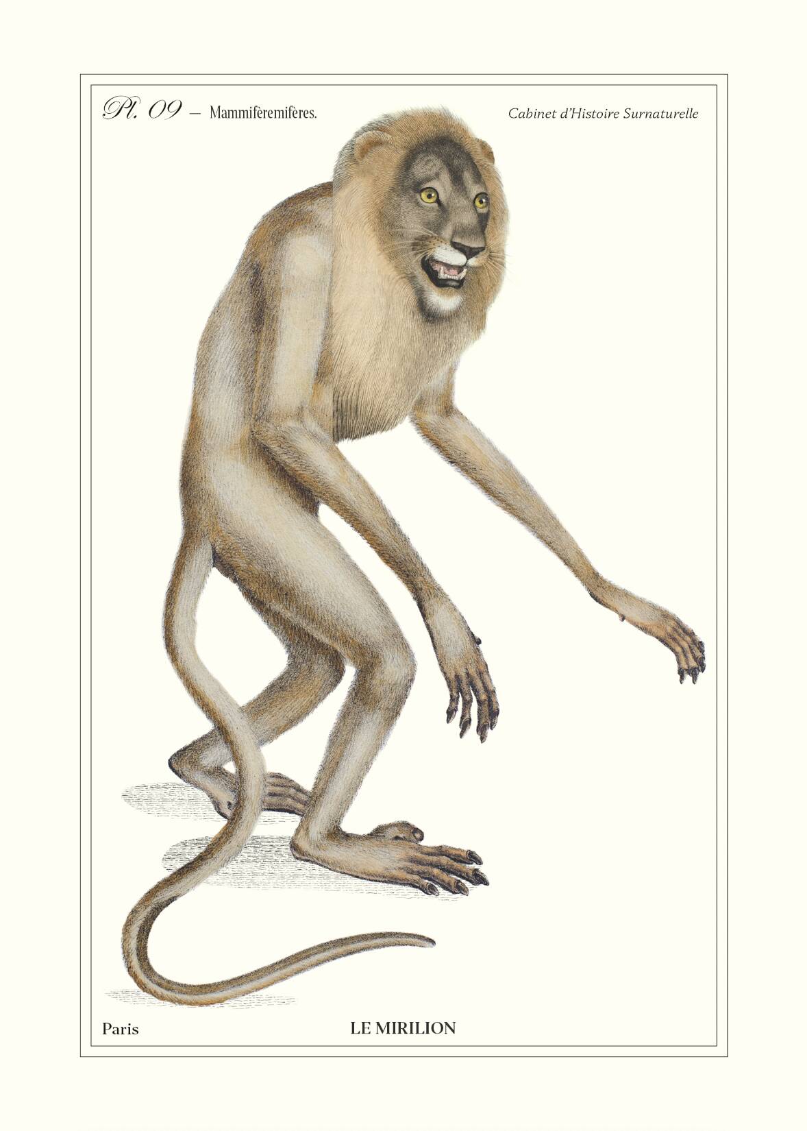 Lithograph engraving chimera animal - the mirilion