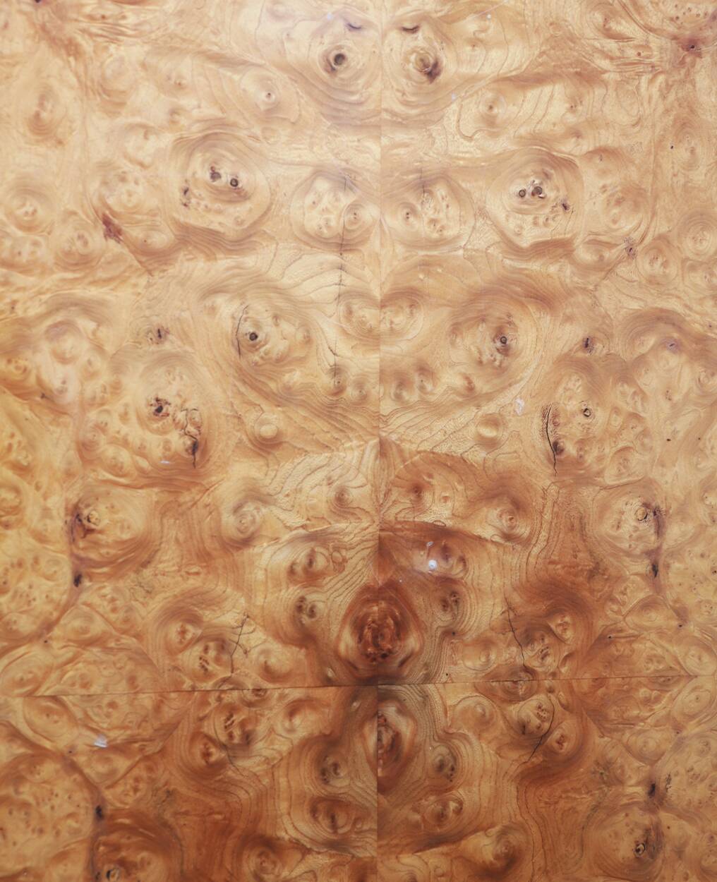 table basse en loupe d'orme avec bords chromés