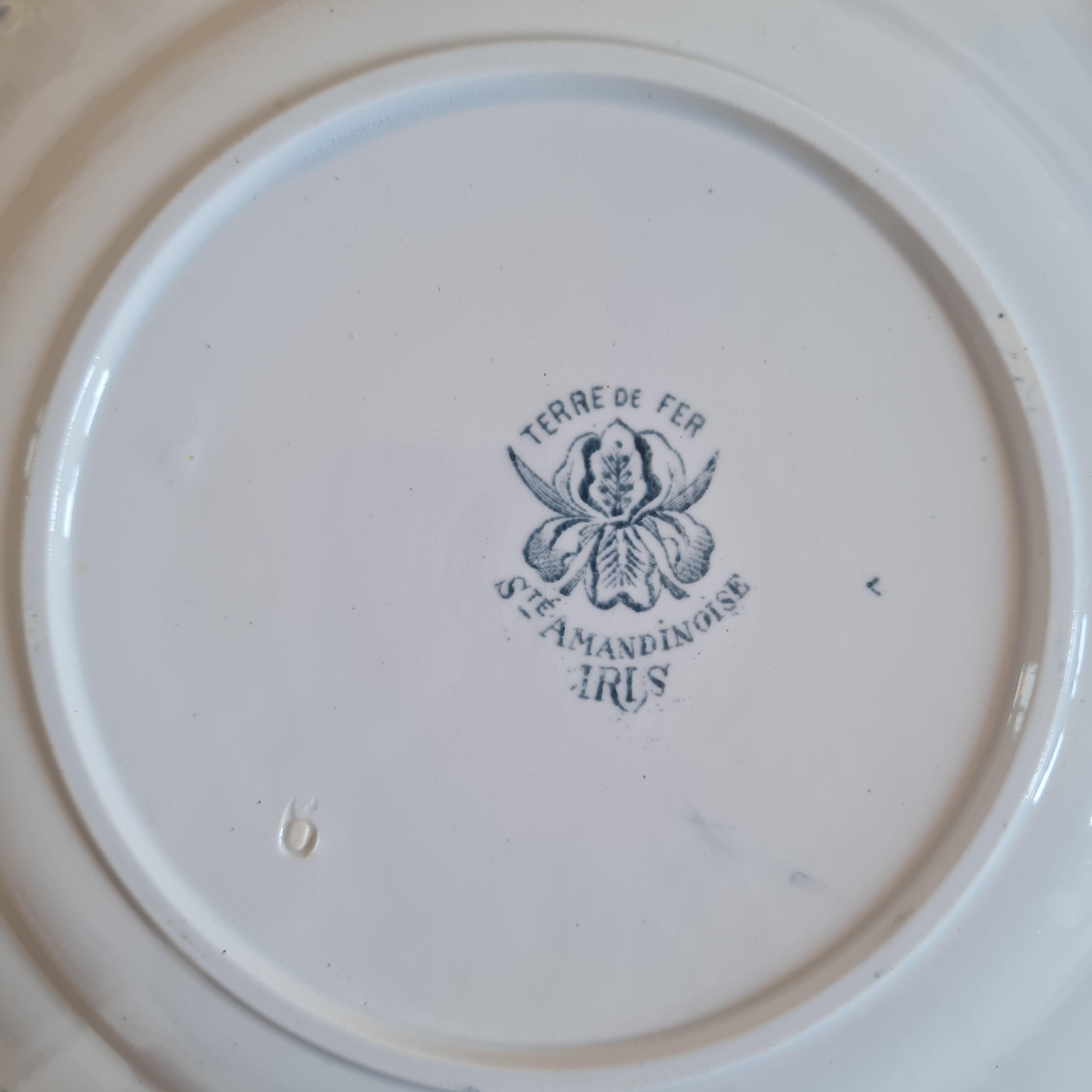 Set of 10 plates in iron earth