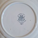 Set of 10 plates in iron earth